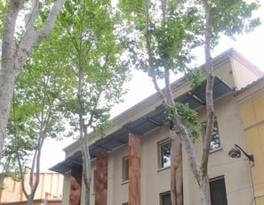 Musée d'Art Moderne de Céret