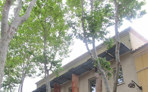 Musée d'Art Moderne de Céret