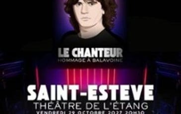 Le chanteur Hommage à Balavoine