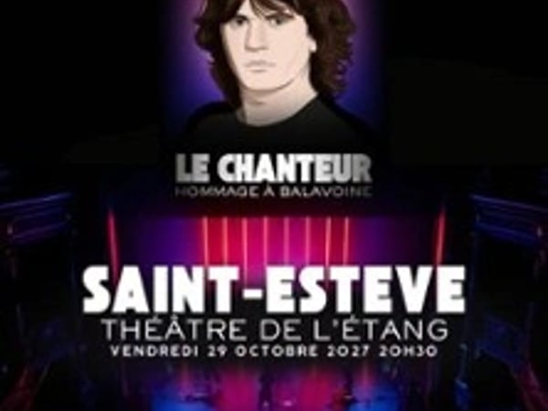 Le chanteur Hommage à Balavoine