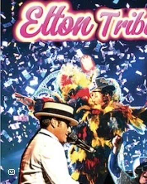 The Elton Tribute, Elton John Experience