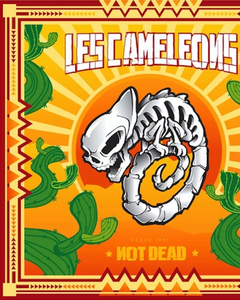 Chameleons