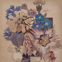Visite libre du centre Mackintosh