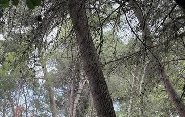 Circuit : promenade poétique et ornithologique