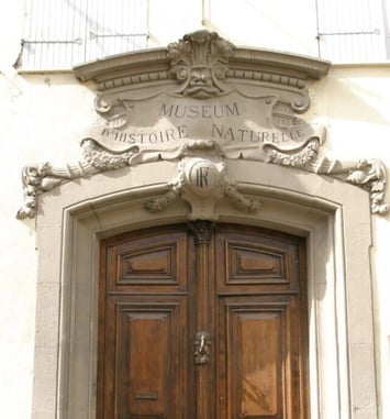 Visite guidée de l'hôtel de Lazerme (Çagarriga) et du Muséum d'histoire naturelle de Perpignan