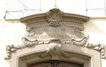 Visite guidée de l'hôtel de Lazerme (Çagarriga) et du Muséum d'histoire naturelle de Perpignan