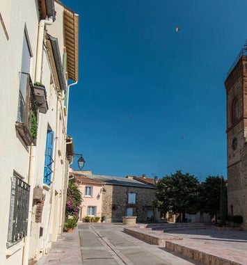 Visite guidée de Palau del Vidre "Histoire d'un terroir catalan"