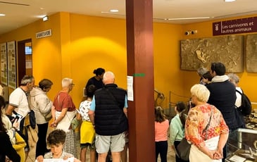Visites guidées du musée de Tautavel