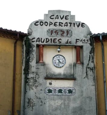 Conférence : une cave coopérative en fenouillèdes