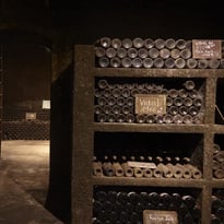 Visite commentée : ouverture de la cave souterraine