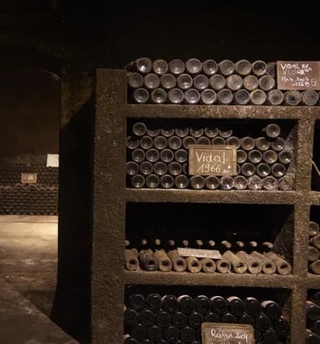 Visite commentée : ouverture de la cave souterraine