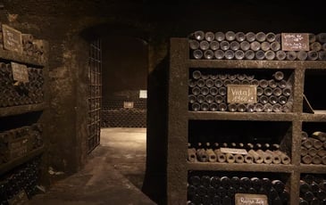 Visite commentée : ouverture de la cave souterraine