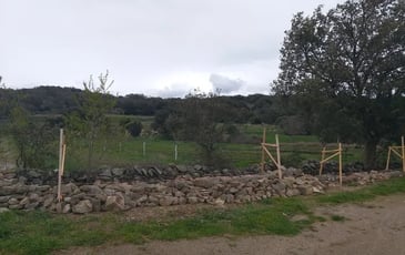 Visite guidée du Prieuré de Marcevol