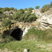 Visite guidée de la grotte préhistorique de Bélesta