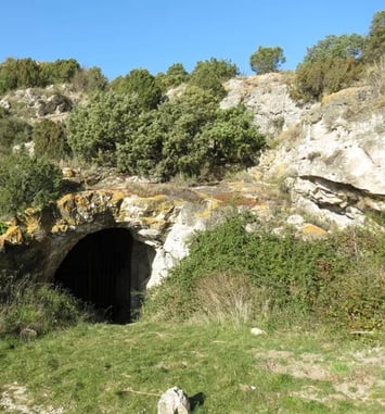 Visite guidée de la grotte préhistorique de Bélesta