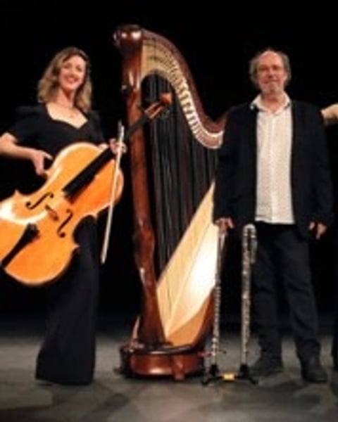 Les Spots, Trio Canopée