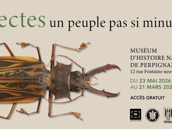 Les insectes, un peuple pas si minuscule