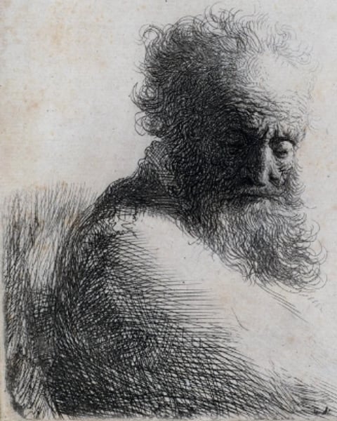 Exposition "L'héritage de Darwin dans le cadre de la Fête de la Science"