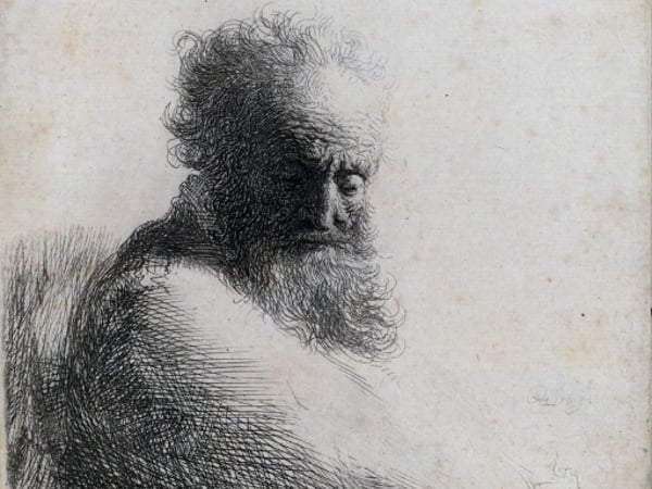Exposition "L'héritage de Darwin dans le cadre de la Fête de la Science"